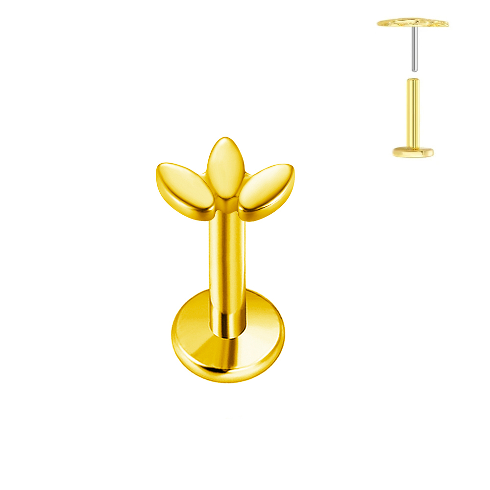 ASTM F136 G23 ไทเทเนียมรูปหัวใ - Body Jewelry Labret บทวิจารณ์และราคา